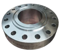 Duplex S31803/S32205 Ring Type Joint Flange