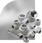 Forged Fittings