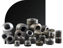 Forged Fittings