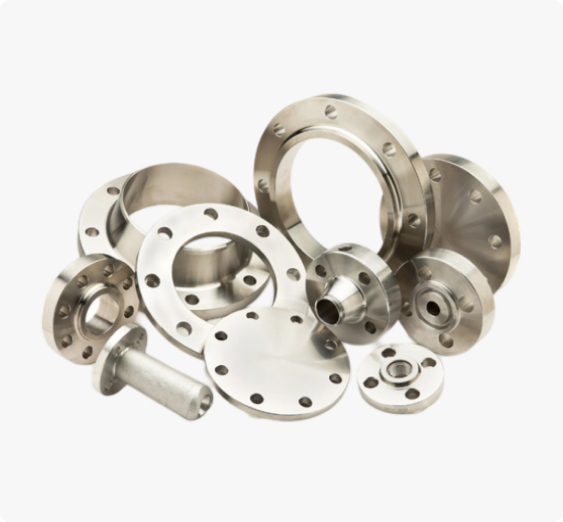 SS 304H Flanges