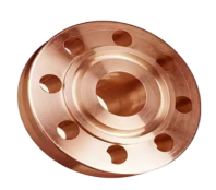 Copper Nickel 70/30 Ring Type Joint Flange