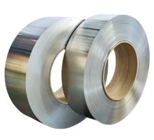 Hastelloy Alloy C22/C276 Strips