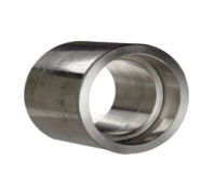 Titanium Gr 1 Forged Half Coupling