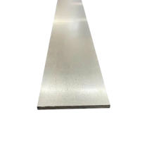 SS 309/310/310S Flat Bar