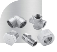 Hastelloy Forged Fittings