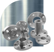 Titanium Flanges