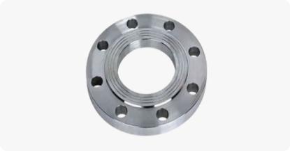 SS 316/316L/316Ti Flanges
