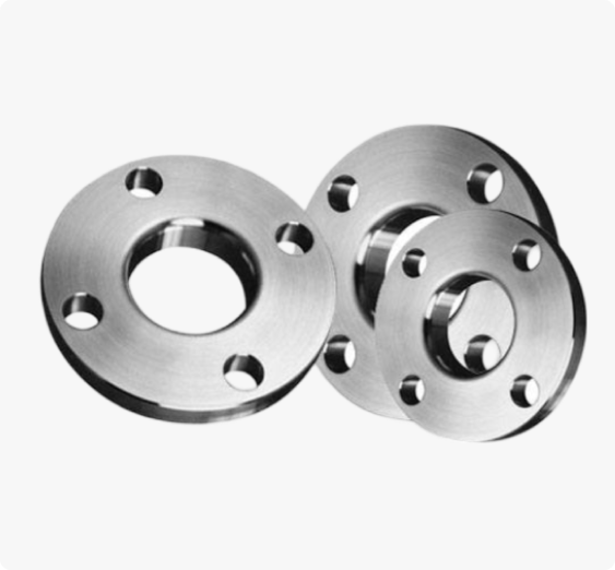 SS 317/317L Flanges