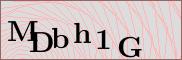 Captcha verification image