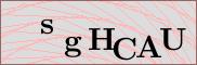 Captcha verification image