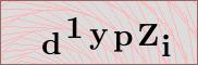 Captcha verification image