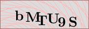 Captcha verification image