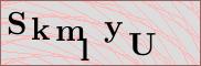 Captcha verification image