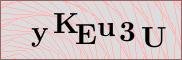 Captcha verification image