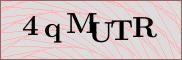 Captcha verification image