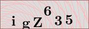 Captcha verification image