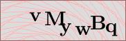 Captcha verification image