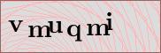 Captcha verification image