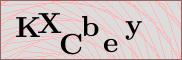 Captcha verification image
