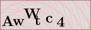 Captcha verification image