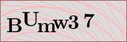 Captcha verification image