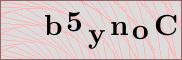 Captcha verification image
