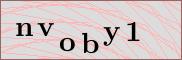 Captcha verification image