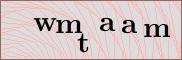Captcha verification image