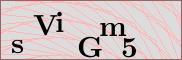 Captcha verification image