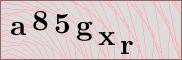 Captcha verification image