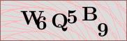 Captcha verification image