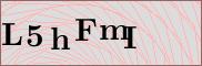 Captcha verification image