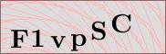 Captcha verification image