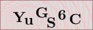 Captcha verification image