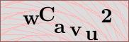 Captcha verification image