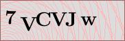 Captcha verification image