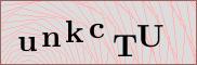 Captcha verification image